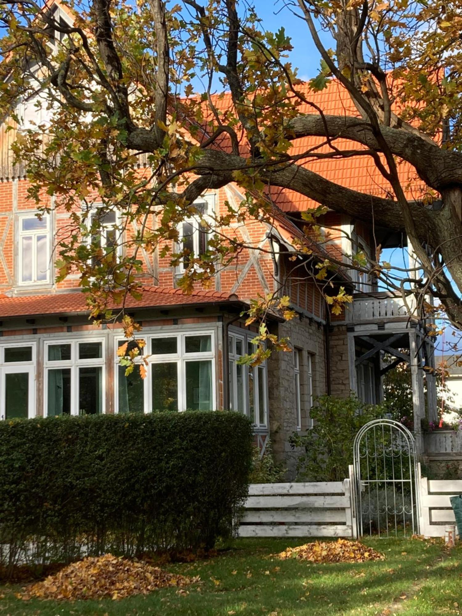 Gaestehaus Musestieg Thale Exteriér fotografie