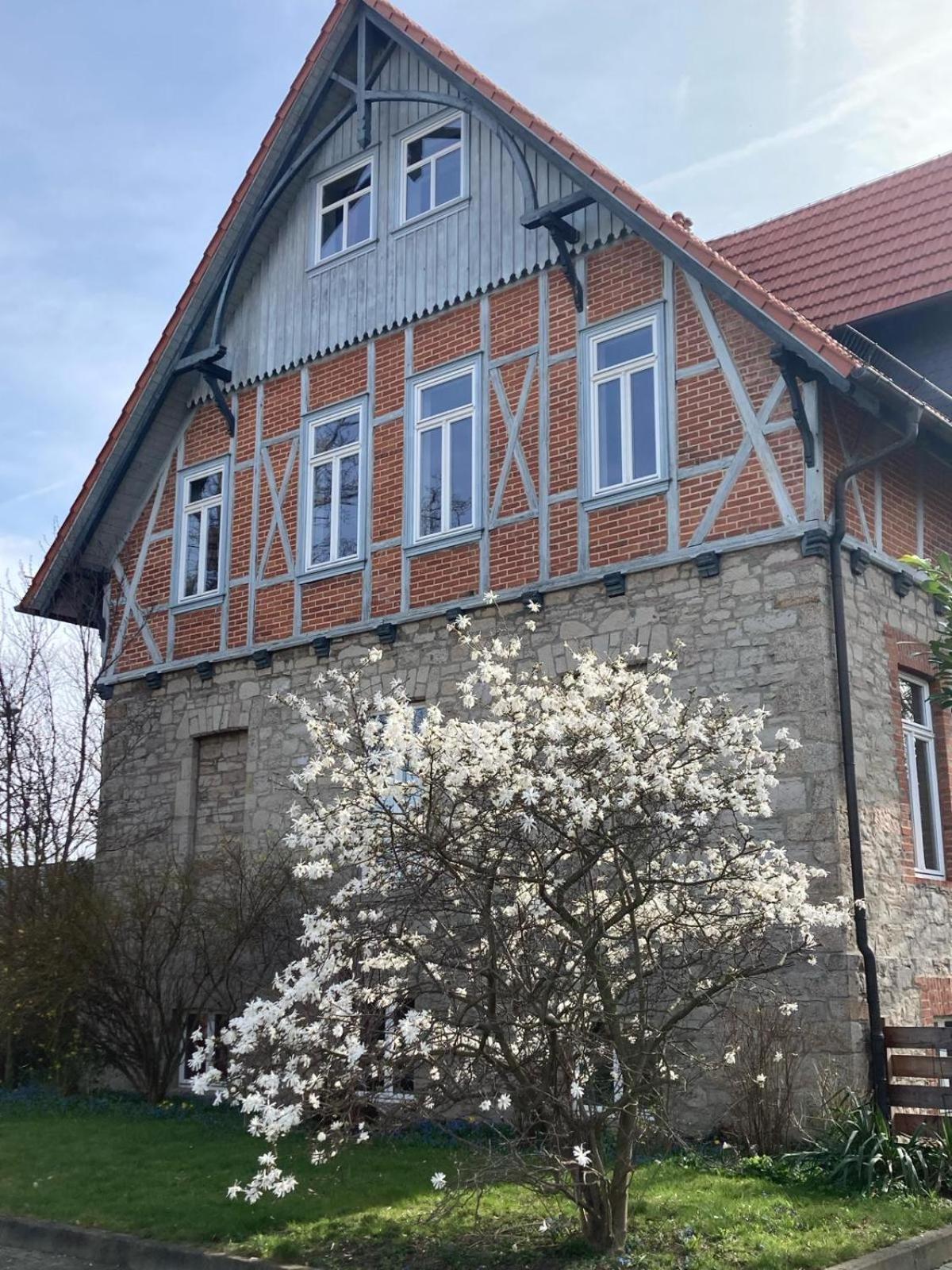 Gaestehaus Musestieg Thale Exteriér fotografie